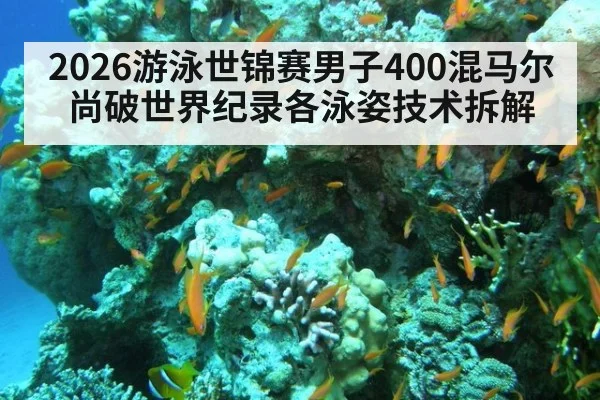 2026游泳世锦赛男子400混马尔尚破世界纪录各泳姿技术拆解 | jiuyou game