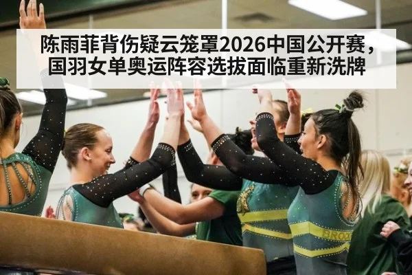 陈雨菲背伤疑云笼罩2026中国公开赛，国羽女单奥运阵容选拔面临重新洗牌（jiuyou game）